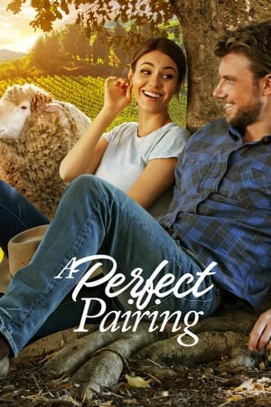 A Perfect Pairing (2022) Dual Audio HDRip | Dubbed Hindi Movie – 480p