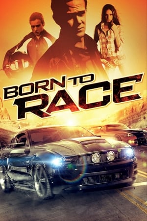 Born to Race 2011 Dual Audio | Dubbed Hindi Movie BluRay [610MB]