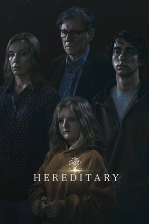 Hereditary 2018 Dual Audio HDRip | Dubbed Hindi Movie – 480p