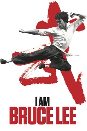 I Am Bruce Lee 2012 300MB Dual Audio Bluray | Dubbed Hindi Movie