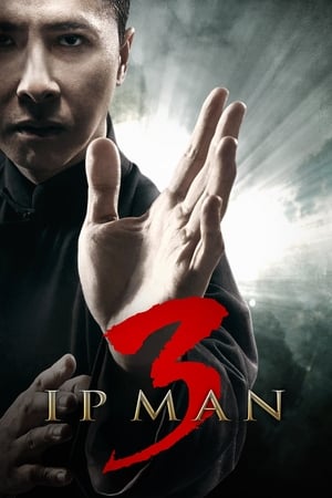 Ip Man 3 (2015) Dual Audio HDRip 400MB