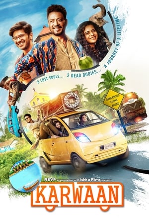 Karwaan (2018) Movie | Dubbed Hindi Movie HDRip x264 [900MB]