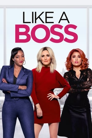 Like a Boss (2020) Dual Audio | Dubbed Hindi Movie Web-DL [760MB]