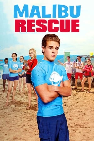 Malibu Rescue (2019) Dual Audio | Dubbed Hindi Movie HDRip 650MB