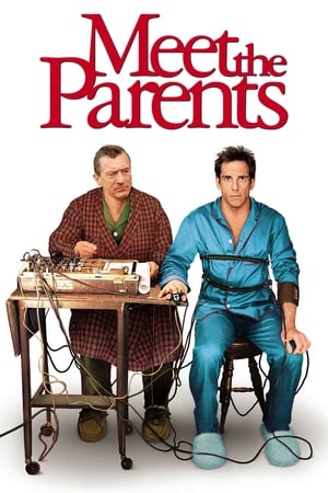 Meet the Parents 2000 Dual Audio | Dubbed Hindi Movie BluRay 350MB