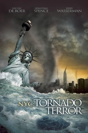 NYC Tornado Terror 2008 Dual Audio | Dubbed Hindi Movie BluRay [1.1GB]