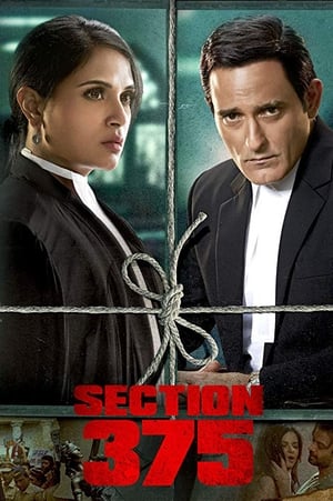 Section 375 (2019) Movie | Dubbed Hindi Movie HDRip x264 [980MB]