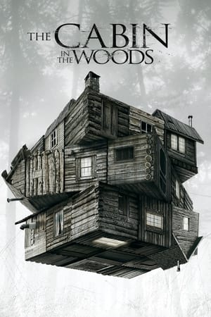 The Cabin in the Woods (2011) Dual Audio | Dubbed Hindi Movie BluRay 300MB