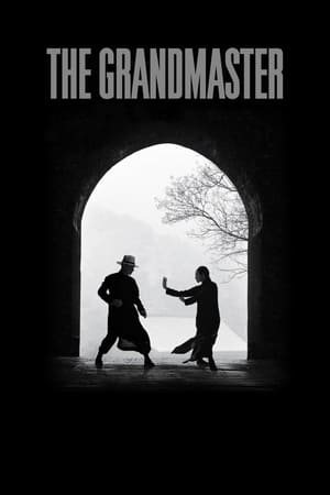 The Grandmaster (2013) Dual Audio | Dubbed Hindi Movie BluRay [1GB] ESubs