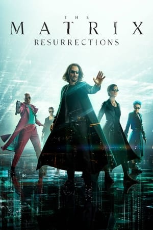 The Matrix Resurrections (2021) Dual Audio (ORG) Movie HDRip | Dubbed Hindi Movie – 480p
