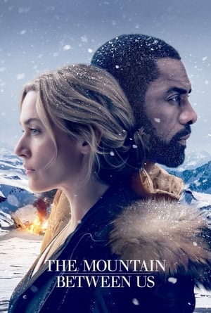 The Mountain Between Us 2017 Dual Audio Bluray Hevc [180MB]