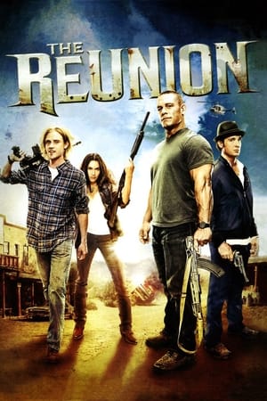 The Reunion (2011) Dual Audio | Dubbed Hindi Movie HDRip [900MB]