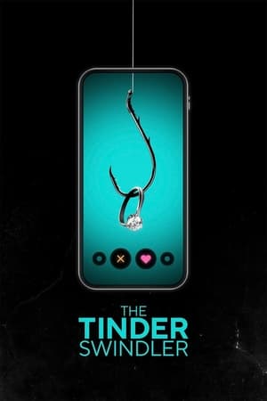 Tinder Swindler 2022 Dual Audio HDRip | Dubbed Hindi Movie – 480p