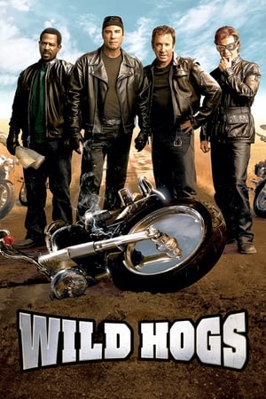 Wild Hogs (2007) Dual Audio | Dubbed Hindi Movie BluRay 340MB